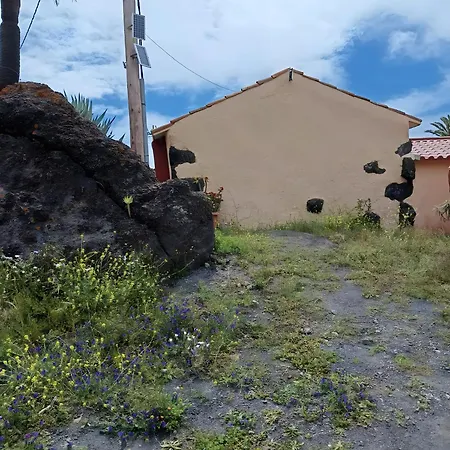 Melianes *